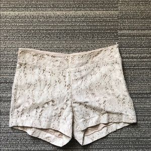 Lace shorts from Nordstrom